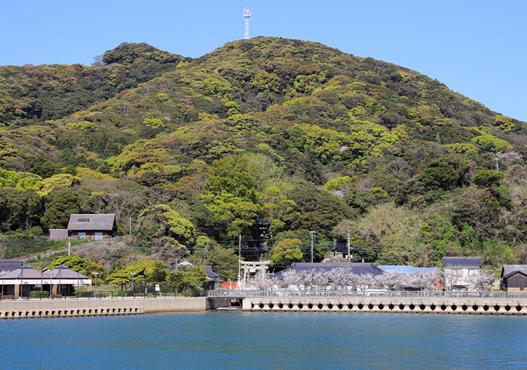 船からみた大島