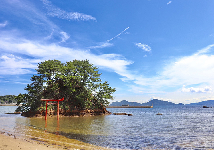 夢の小夜島（大島）